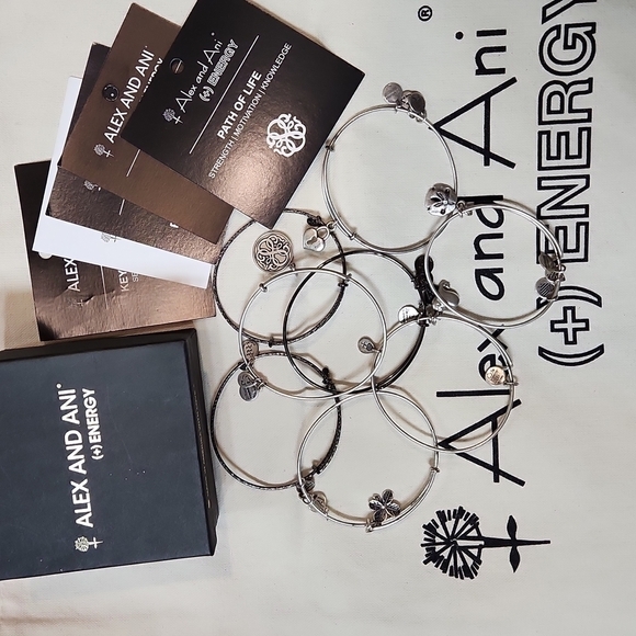 𝅺alex and Ani Bracelets Box and Bag